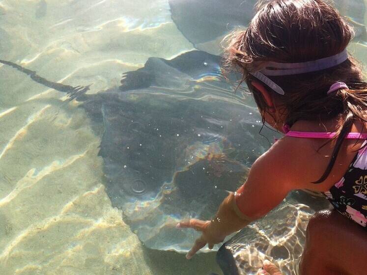 هتل Fare Club Moorea