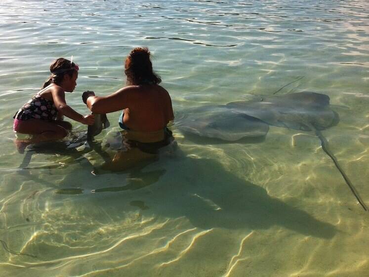 هتل Fare Club Moorea