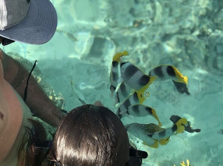 هتل Fare Club Moorea