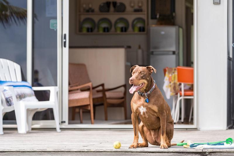 酒店 Golden Sand Beachfront Accommodation