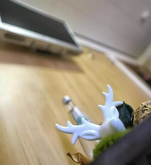 Hotelli Landgasthof Zum Hirschen