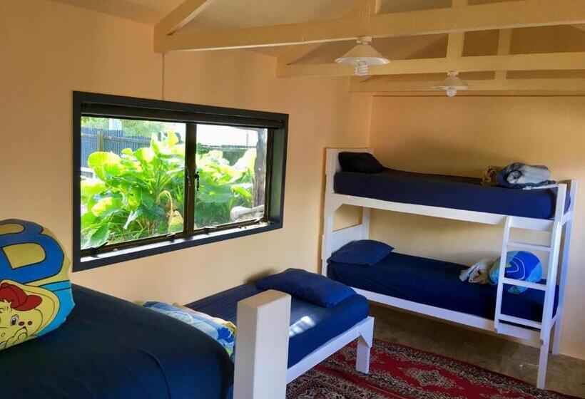 Отель Raglan Backpackers