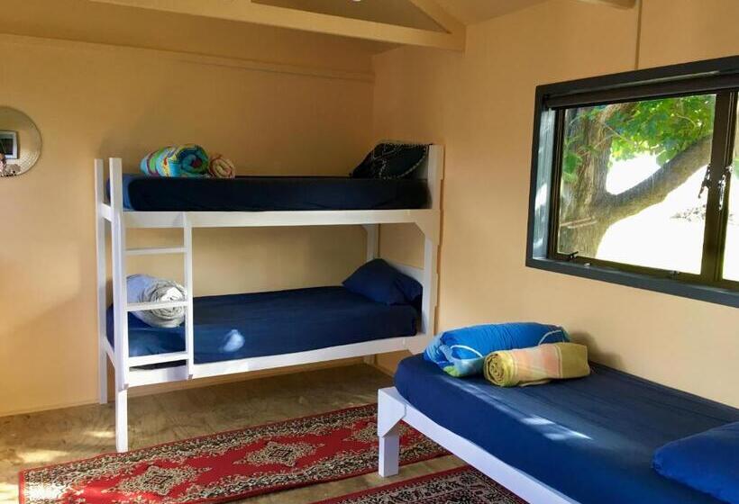 Отель Raglan Backpackers