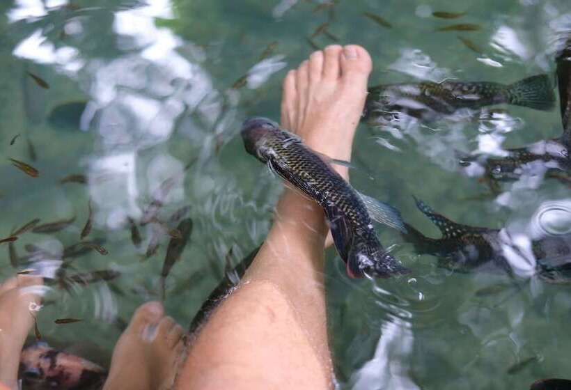 酒店 White Villas Resort