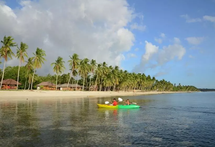 Hotelli White Villas Resort