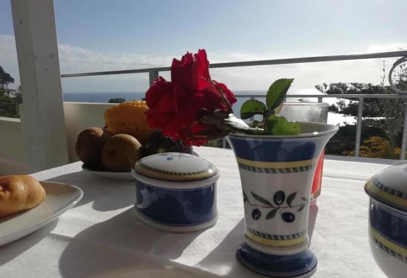 Miriasol Bed And Breakfast