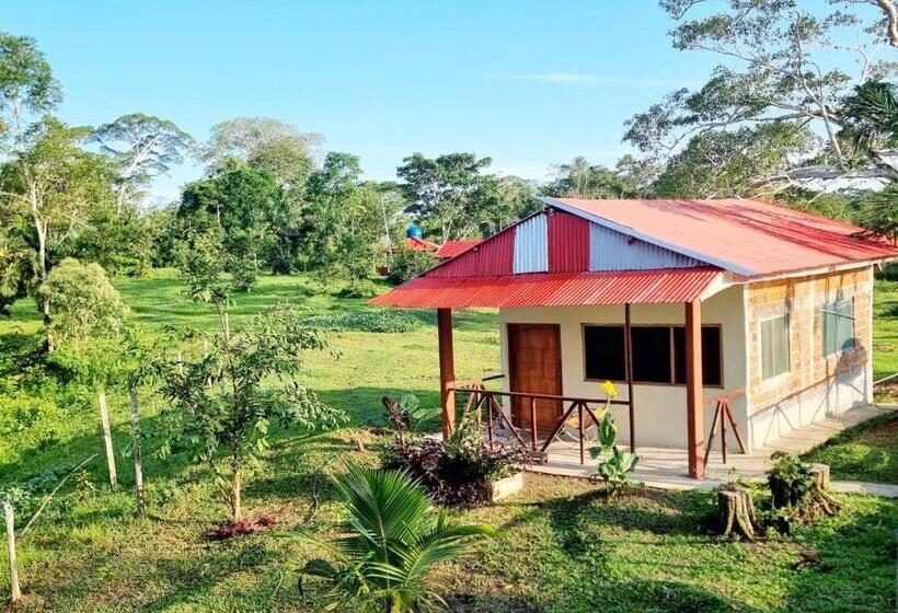 هاستل Milia Amazon Lodge