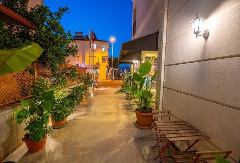 酒店 Belci City House