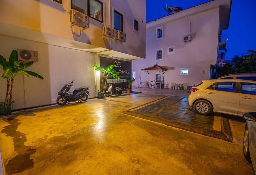 酒店 Belci City House