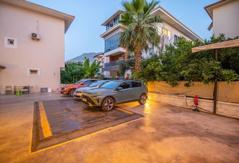 酒店 Belci City House