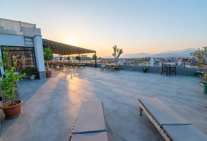 酒店 Belci City House