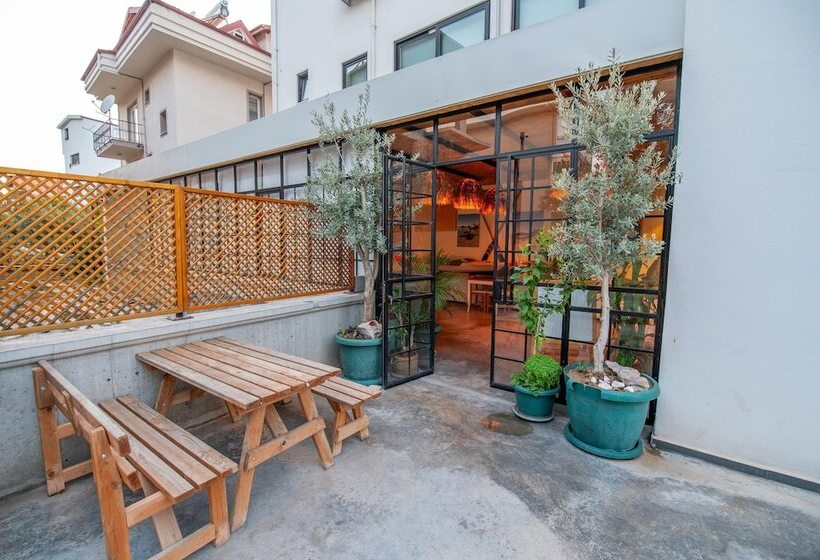 酒店 Belci City House