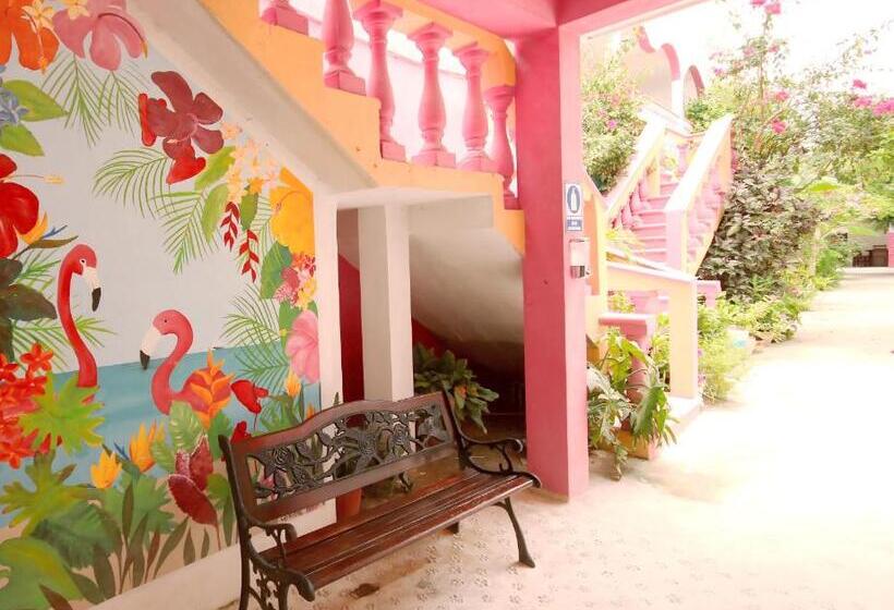 Szálloda Los Arcos Holbox