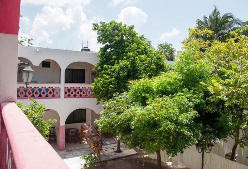 Szálloda Los Arcos Holbox