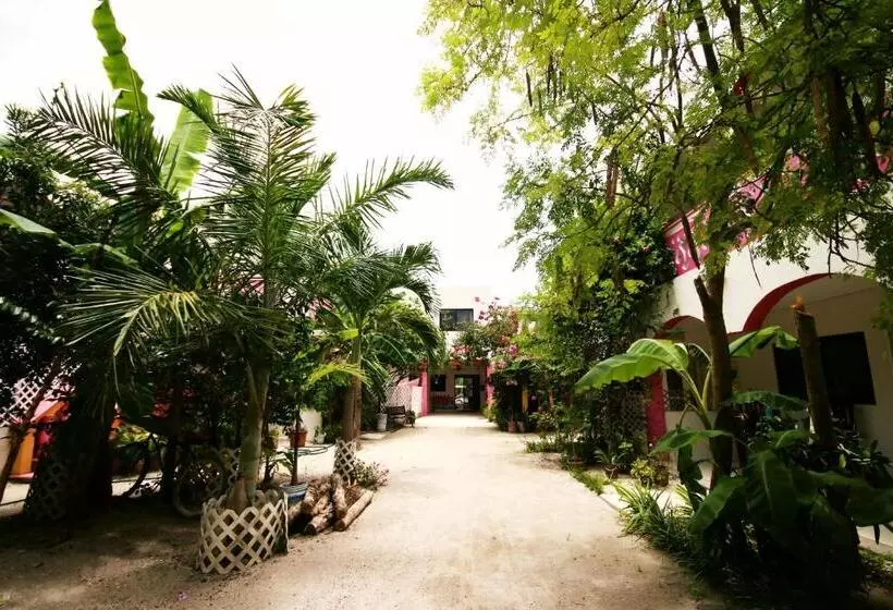 هتل Los Arcos Holbox