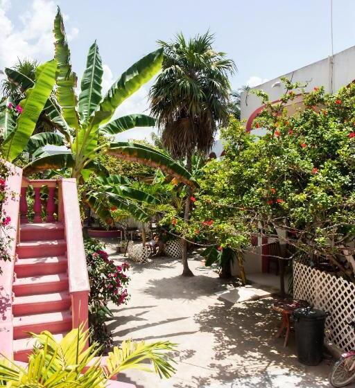 Szálloda Los Arcos Holbox