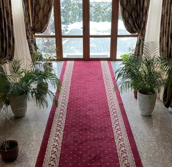 Hotel Onix