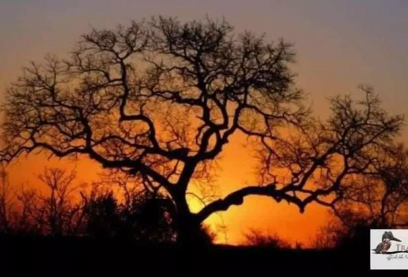 ペンション Hippomoon Lodge Game Reserve