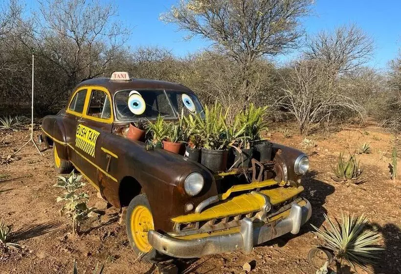 ペンション Hippomoon Lodge Game Reserve