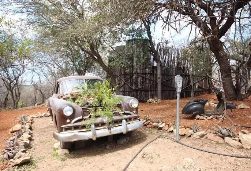 ペンション Hippomoon Lodge Game Reserve