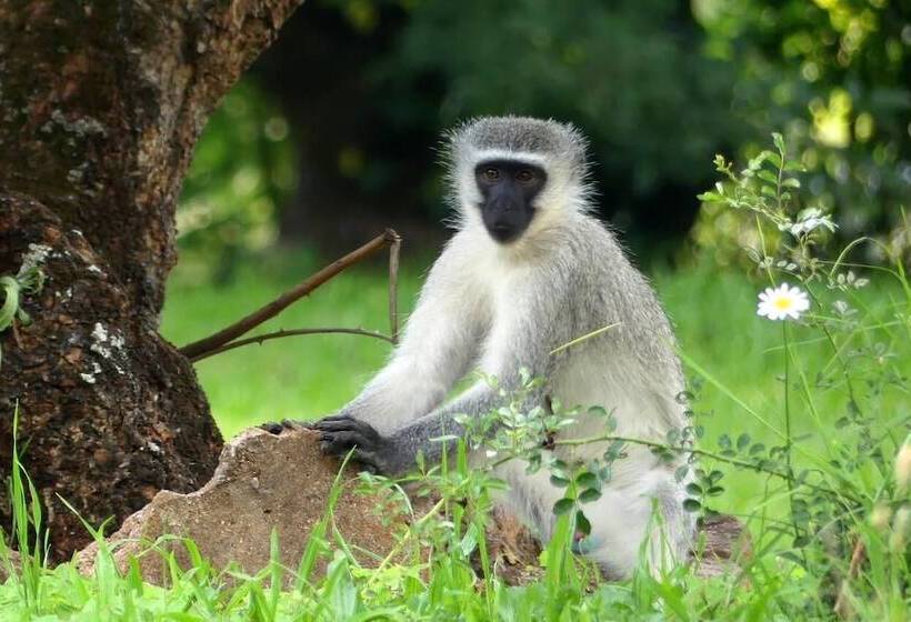 پانسیون Hippomoon Lodge Game Reserve