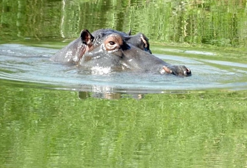 پانسیون Hippomoon Lodge Game Reserve