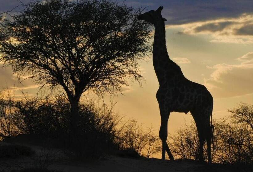 پانسیون Hippomoon Lodge Game Reserve