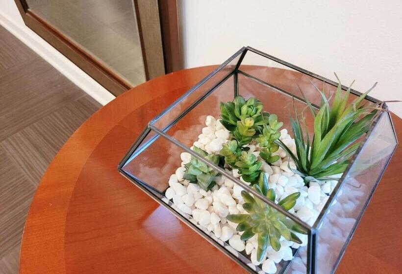 Stayspro   Venice Beach Luxury Apartments Minutes To The Marina And Santa Monica Limited Time Free P