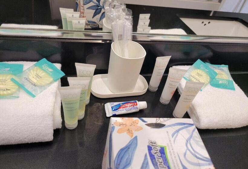 Stayspro   Venice Beach Luxury Apartments Minutes To The Marina And Santa Monica Limited Time Free P