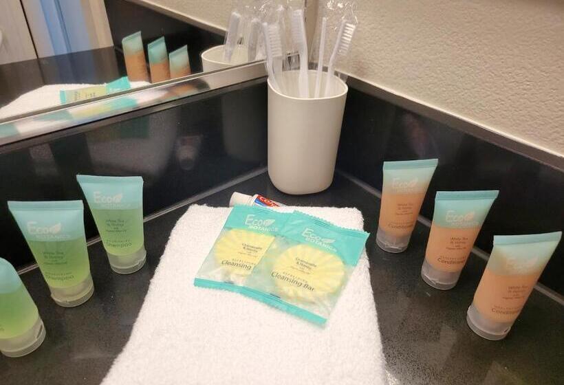 Stayspro   Venice Beach Luxury Apartments Minutes To The Marina And Santa Monica Limited Time Free P