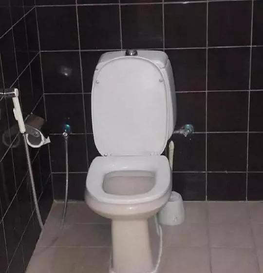 هتل قصر التوت العلياء