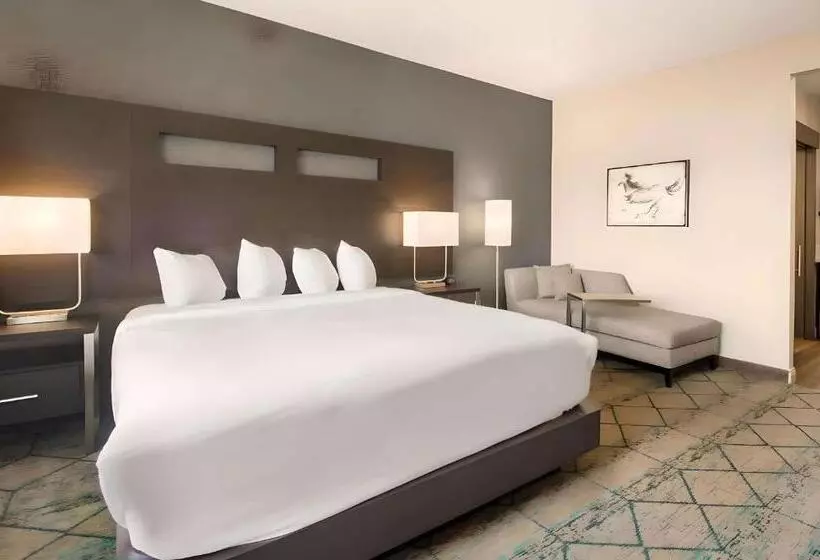 ホテル Comfort Inn & Suites