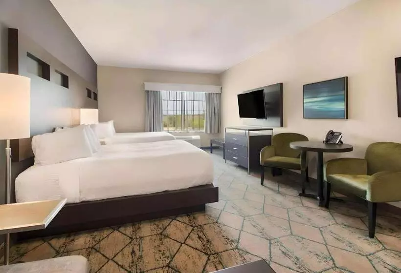 ホテル Comfort Inn & Suites