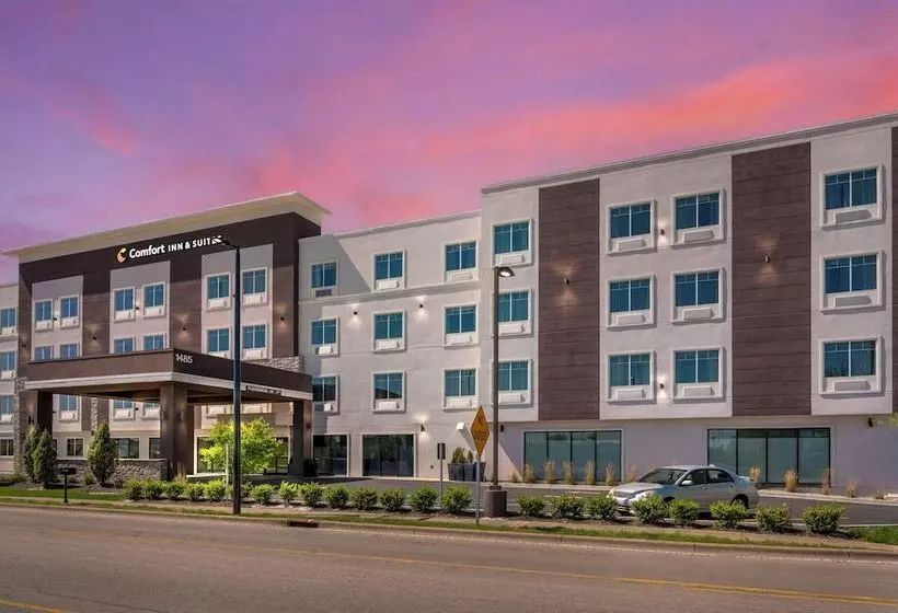 ホテル Comfort Inn & Suites