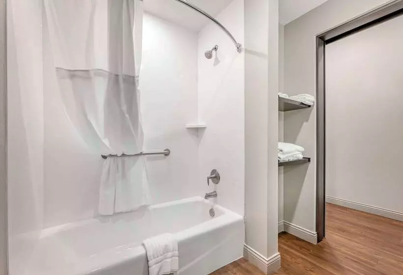 ホテル Comfort Inn & Suites