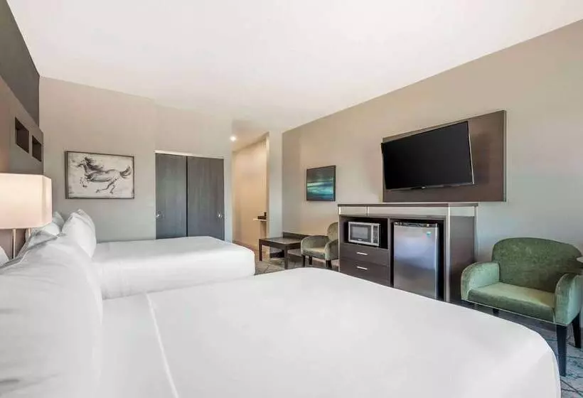 ホテル Comfort Inn & Suites