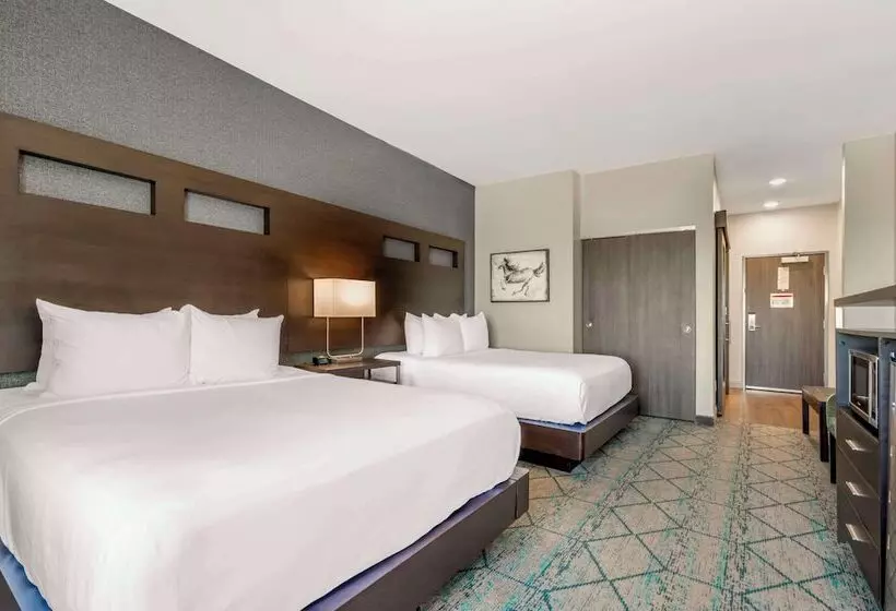 ホテル Comfort Inn & Suites