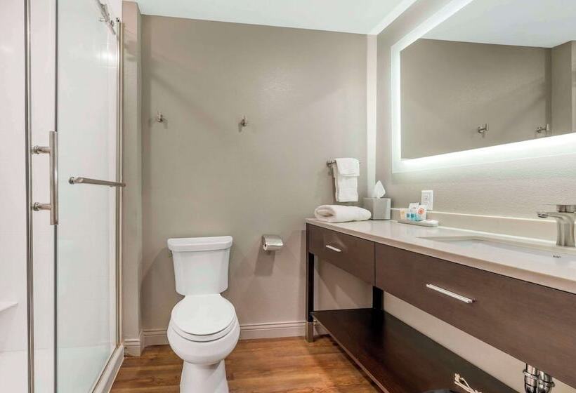 فندق Comfort Inn & Suites