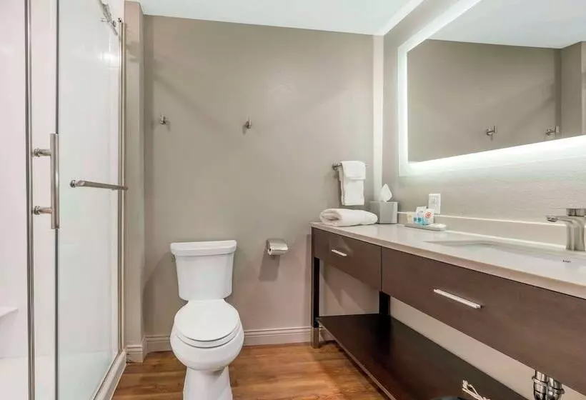 ホテル Comfort Inn & Suites