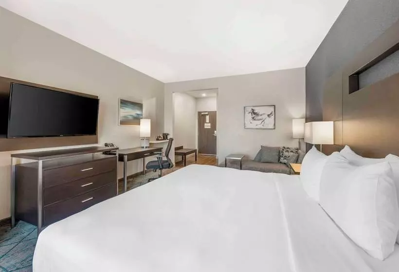 ホテル Comfort Inn & Suites