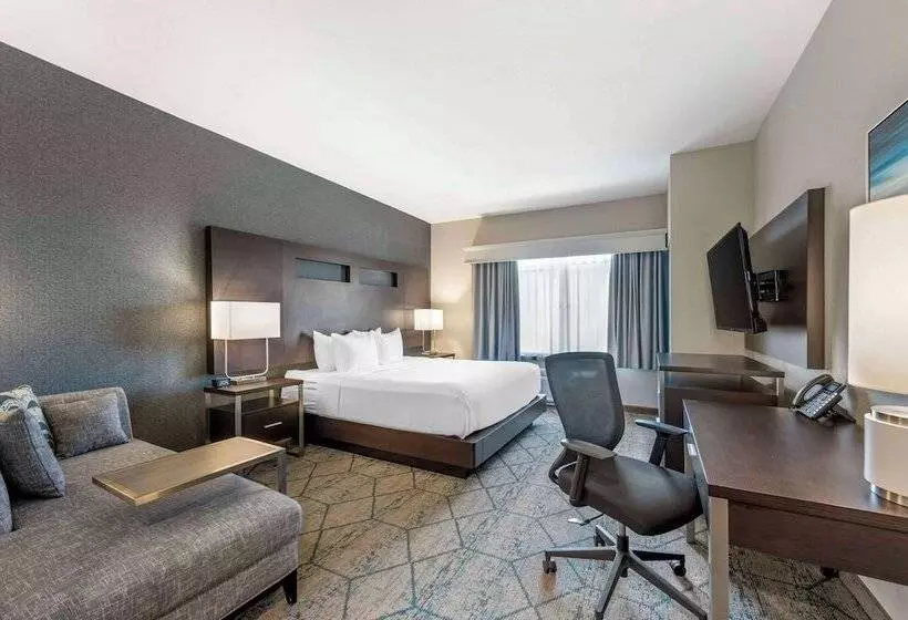 ホテル Comfort Inn & Suites