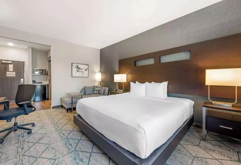 ホテル Comfort Inn & Suites