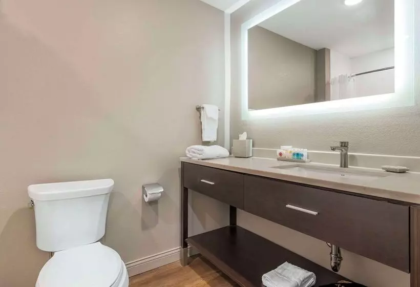 ホテル Comfort Inn & Suites