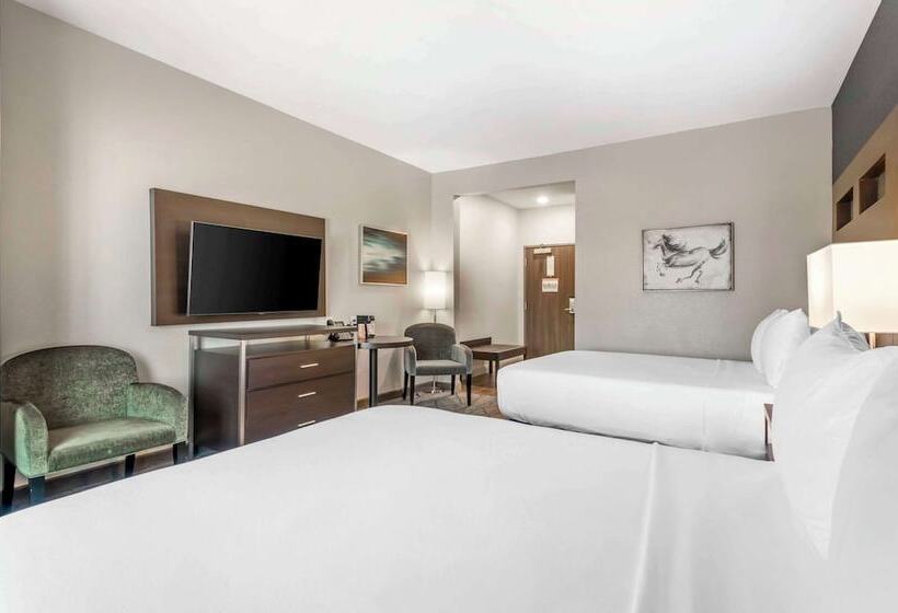 فندق Comfort Inn & Suites