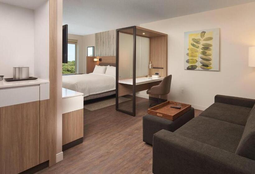 ホテル Springhill Suites By Marriott Orlando Lake Nona