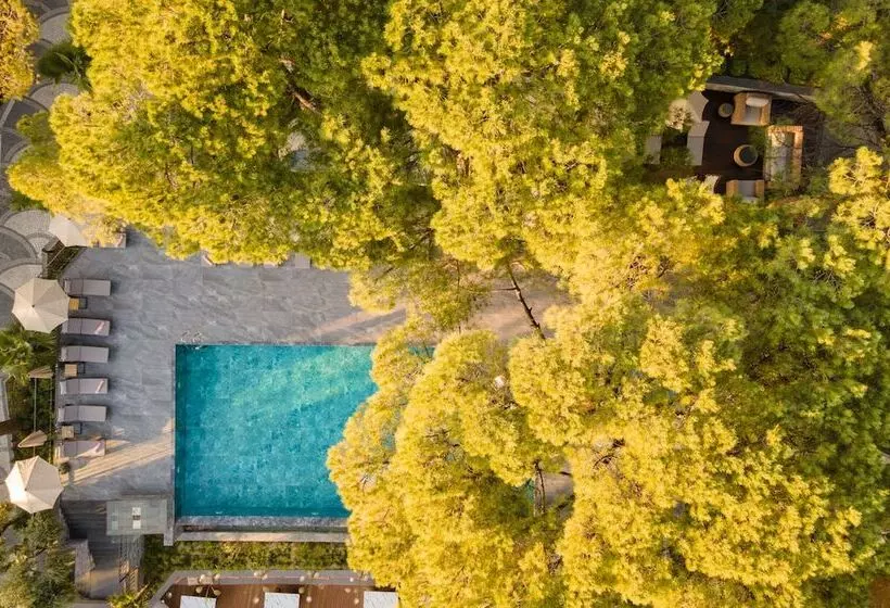 Hotelli Unique Life Style