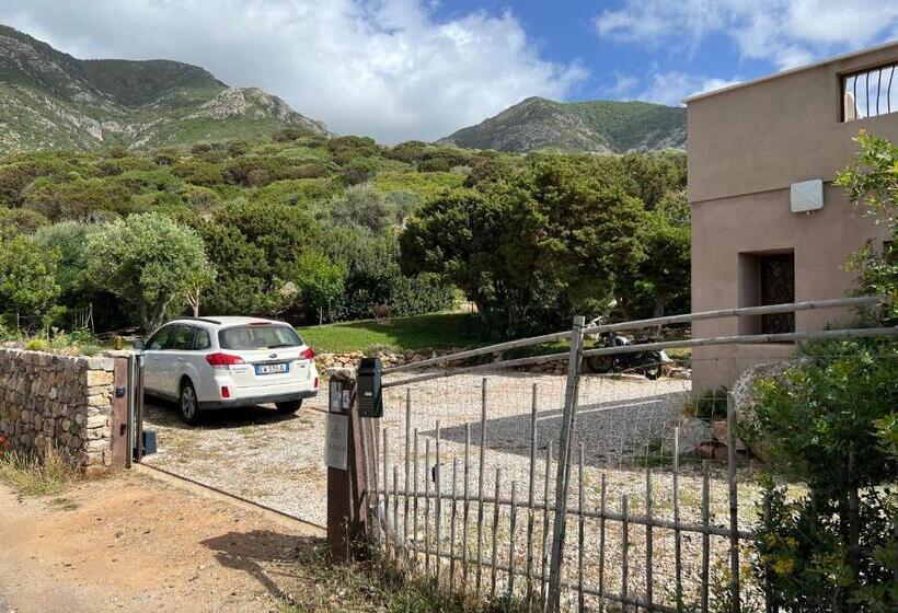 צימר Alelca Domo