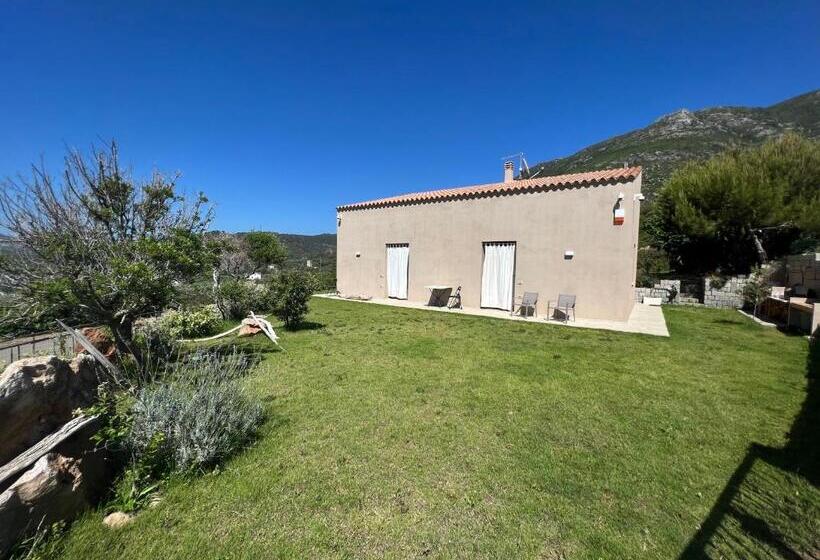 צימר Alelca Domo