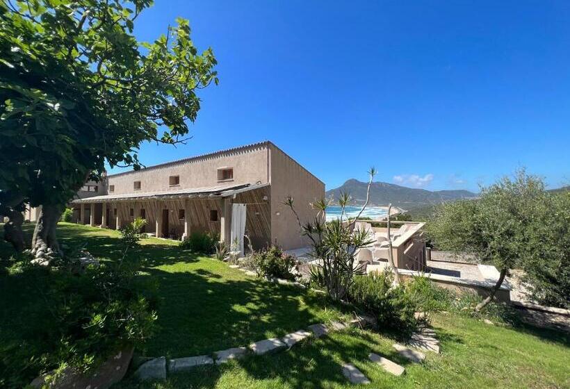 צימר Alelca Domo