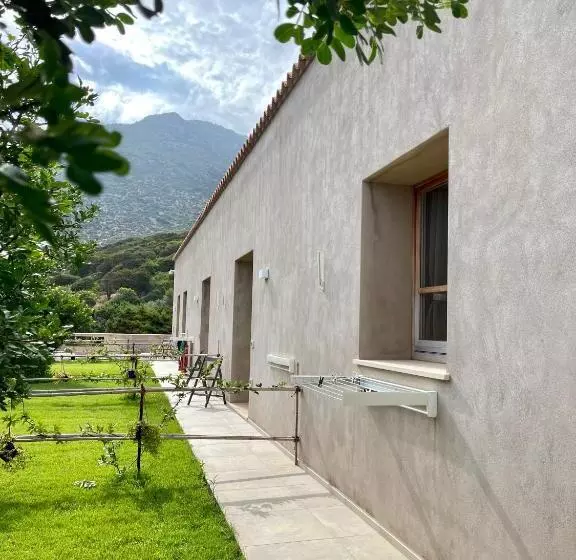 ベッドアンドブレックファースト Alelca Domo